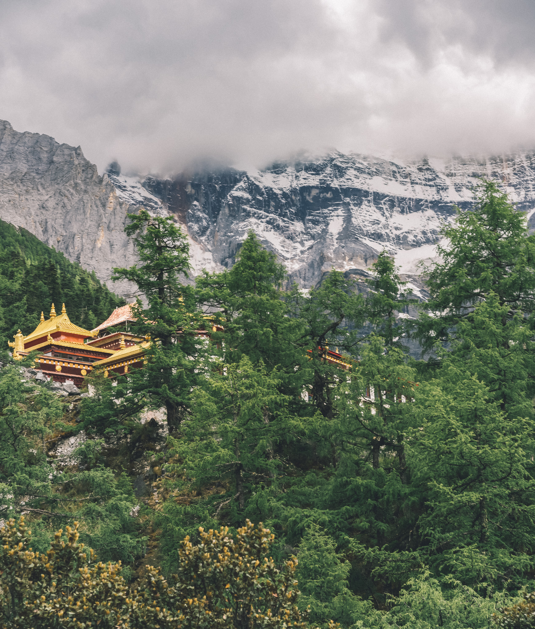 Monastery hidden in the trees at the Yading Nature Reserve