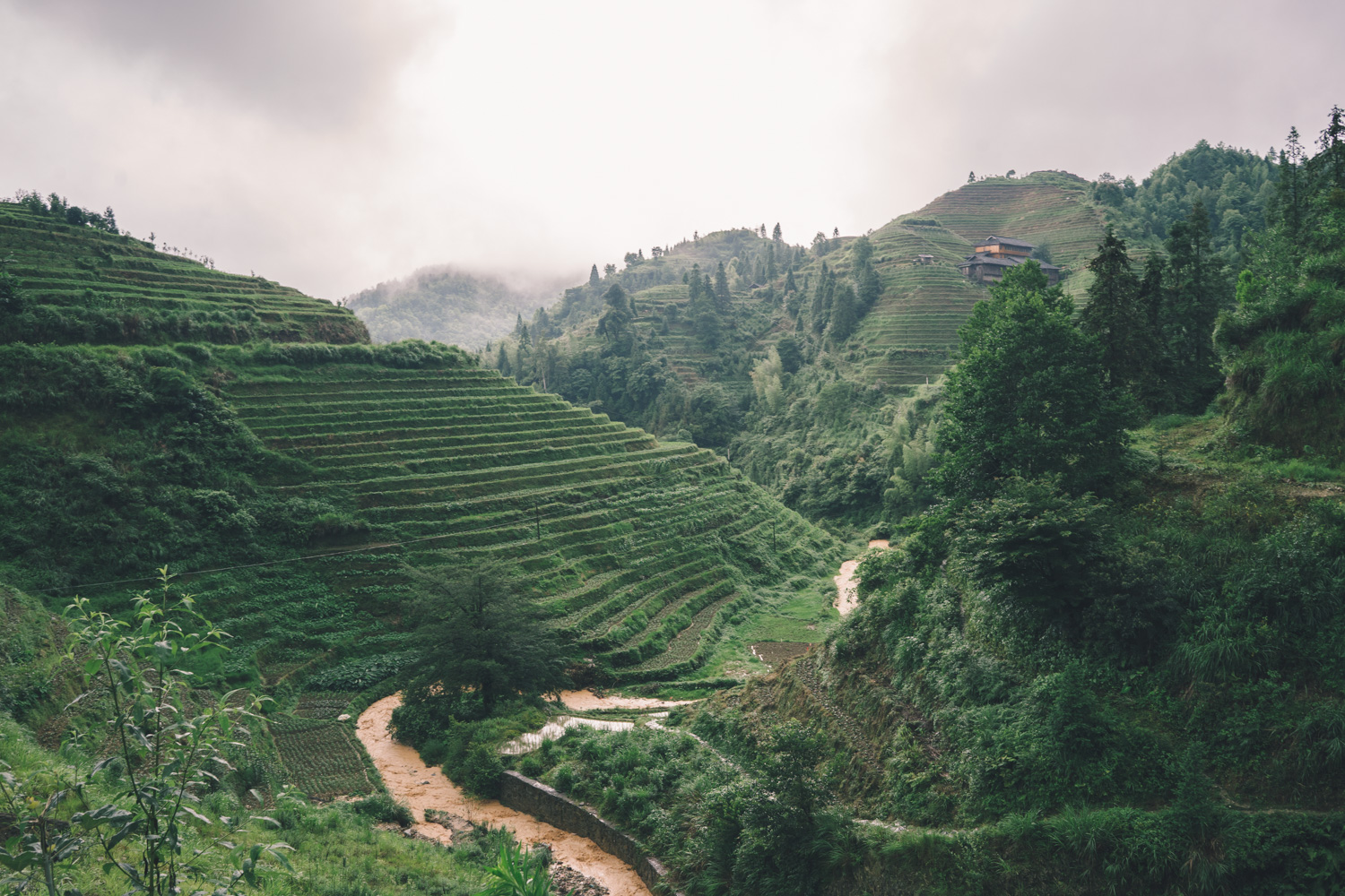 Hiking in the Longji Rice Terraces