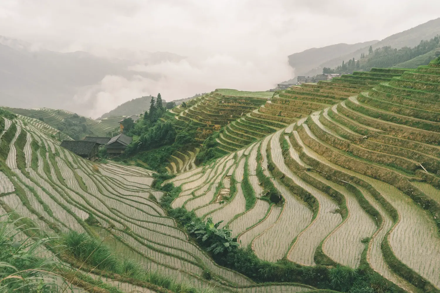 The Longji Rice Terraces near Guilin 