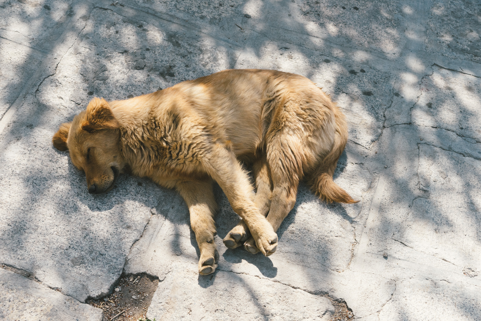 Three days in Lhasa, Tibet | On The Way Around