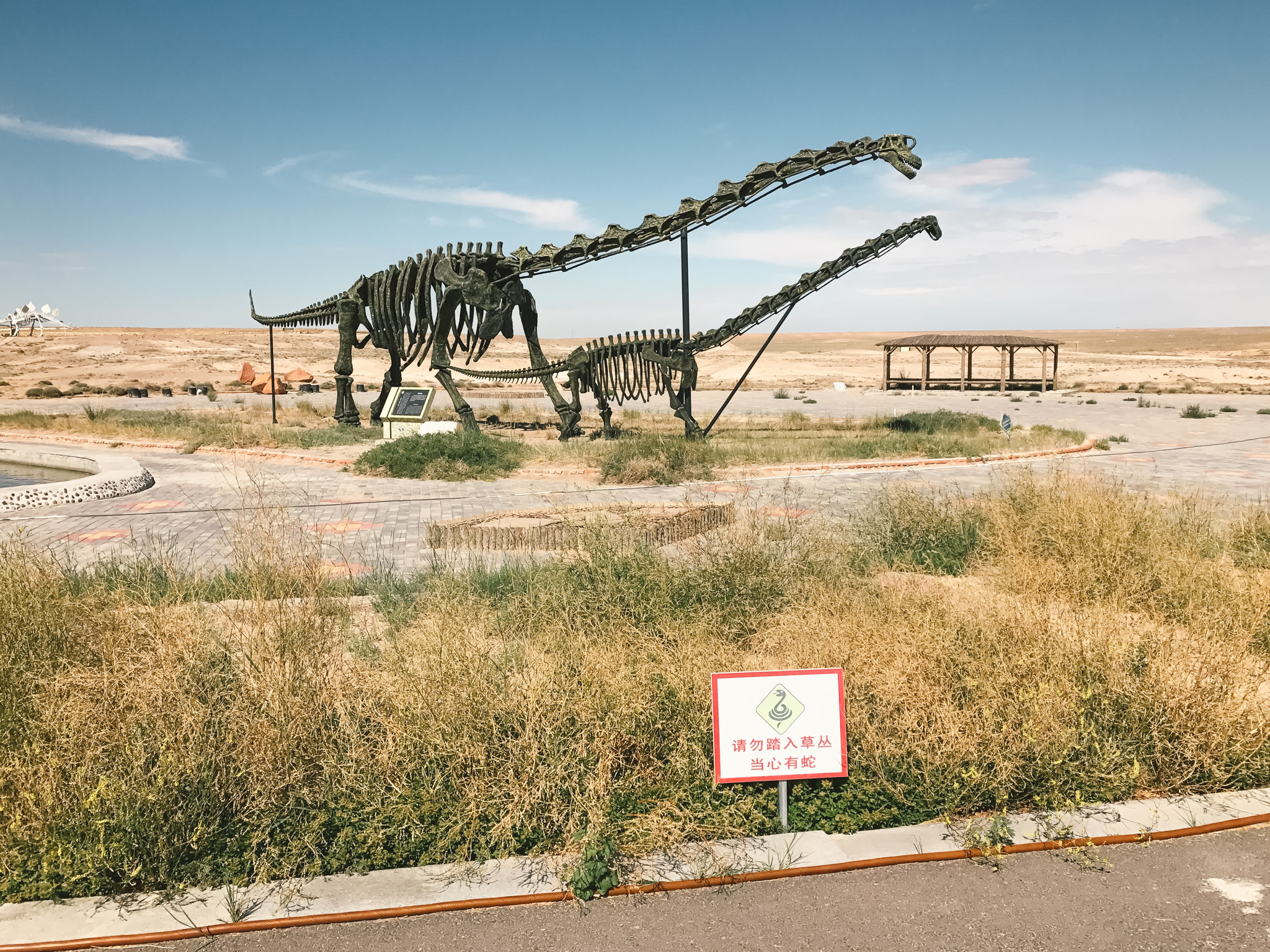 erlian dinosaur museum attractions