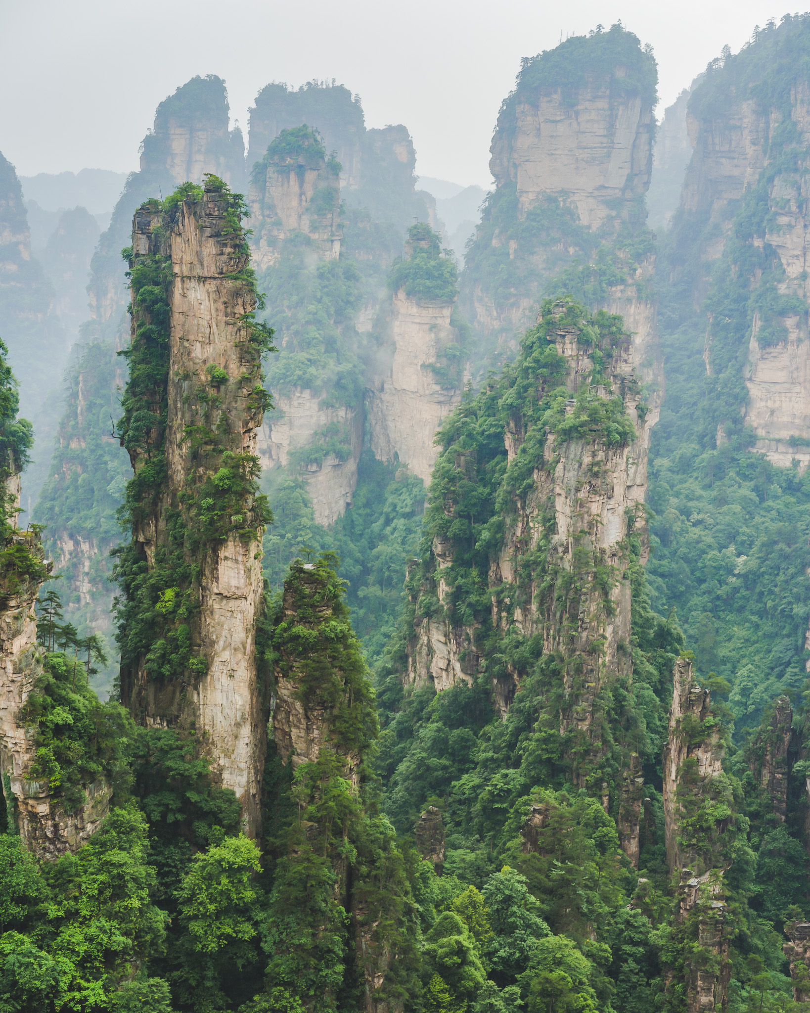 A beautiful foggy day in Zhangjiajie