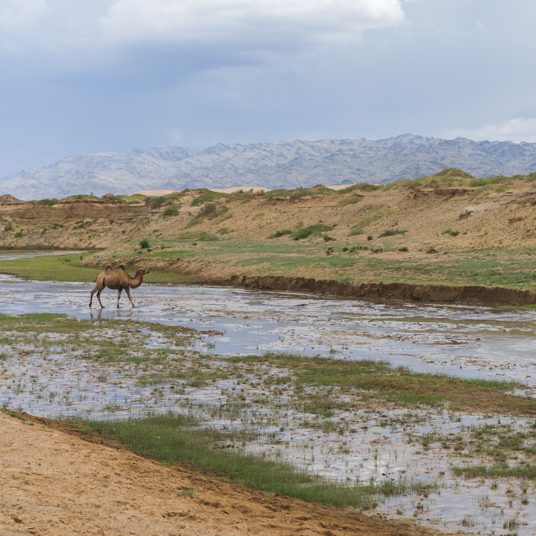 Gobi Desert views