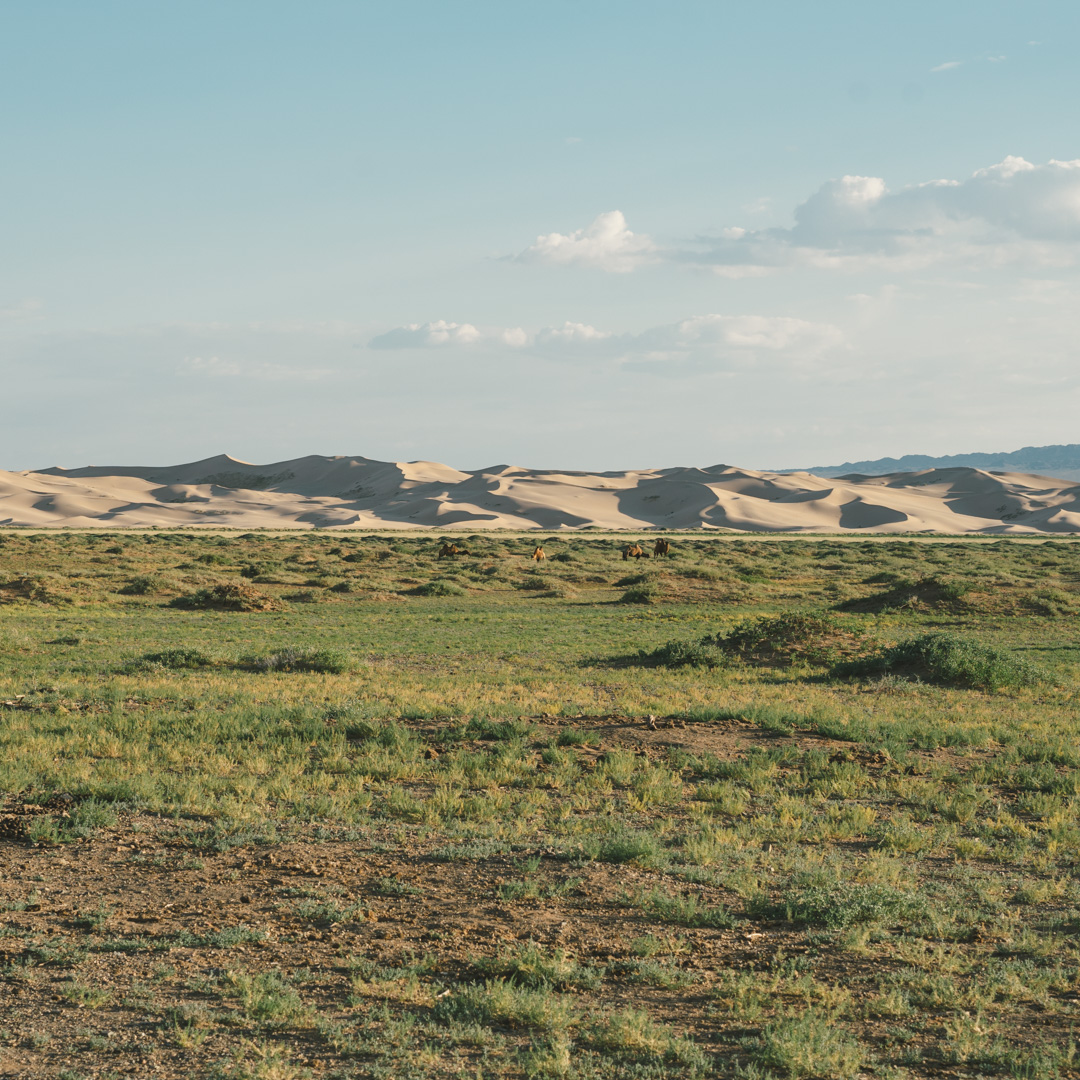 Sunset in the Gobi Desert