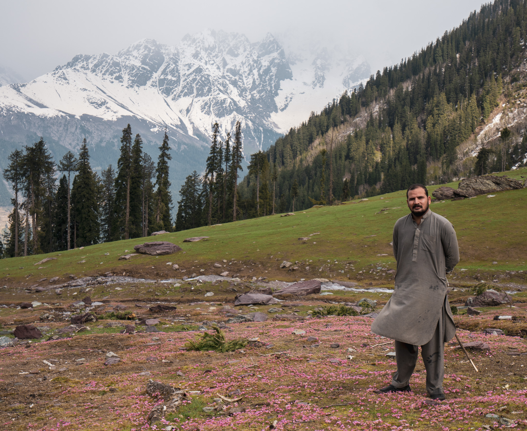 Desan Meadows, Swat Valley