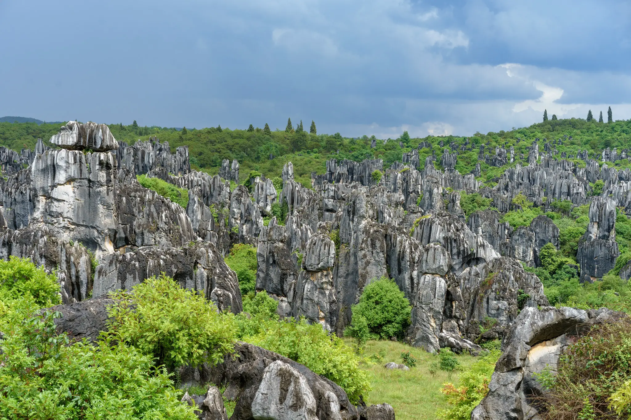 The Kunming Stone Forest, a great day trip from the city