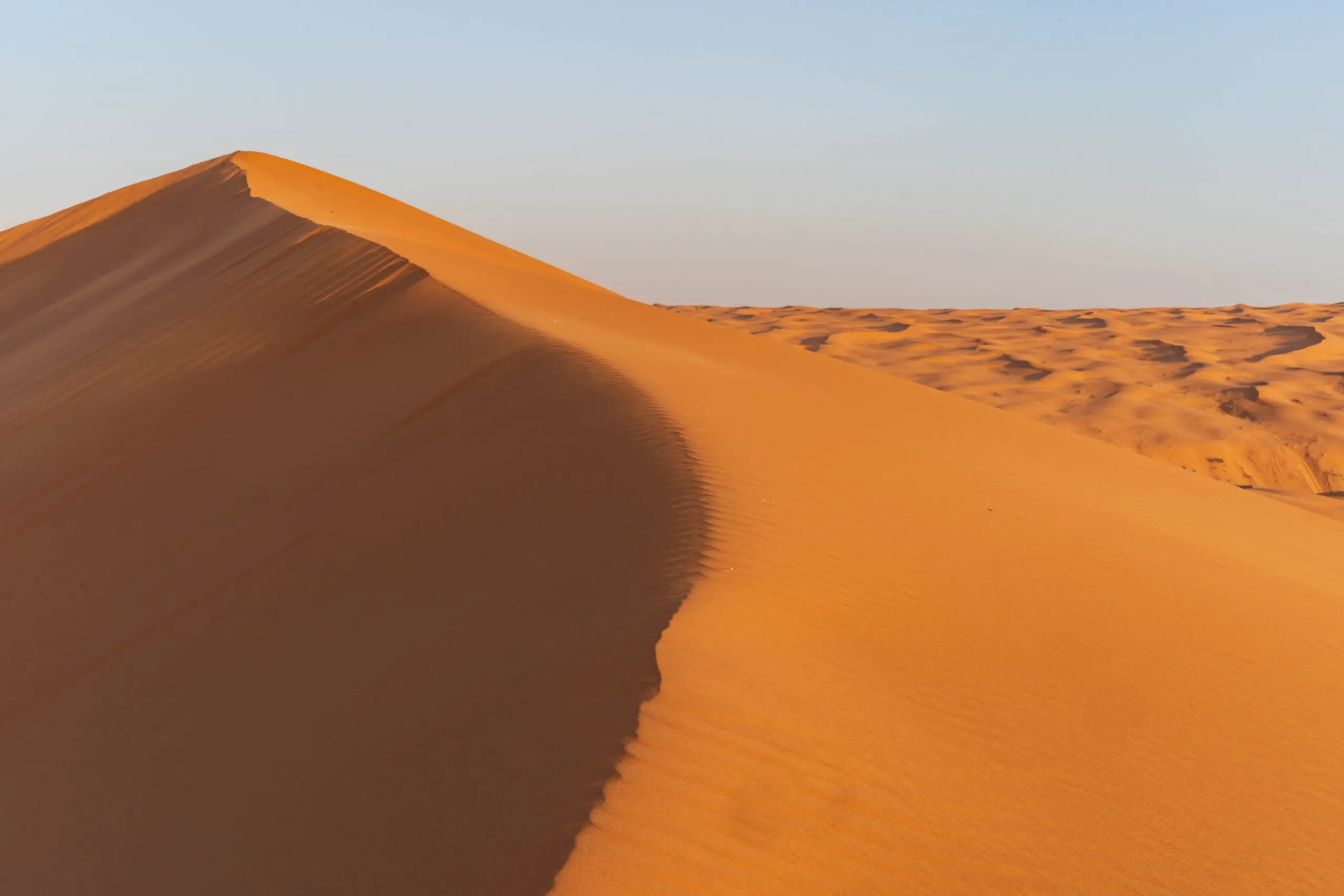 Red Sand Dunes near Riyadh