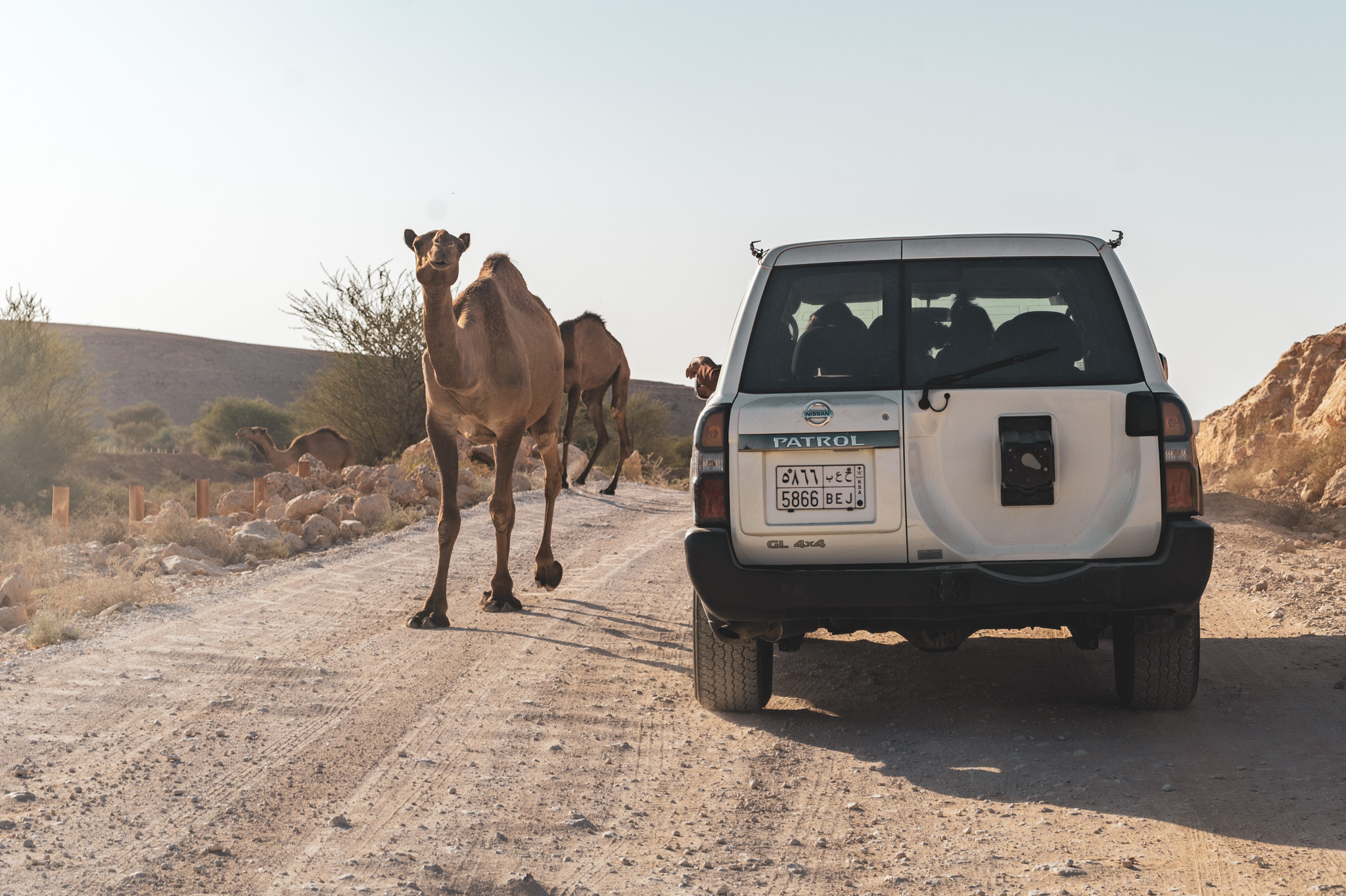 Driving through the Acacia Valley