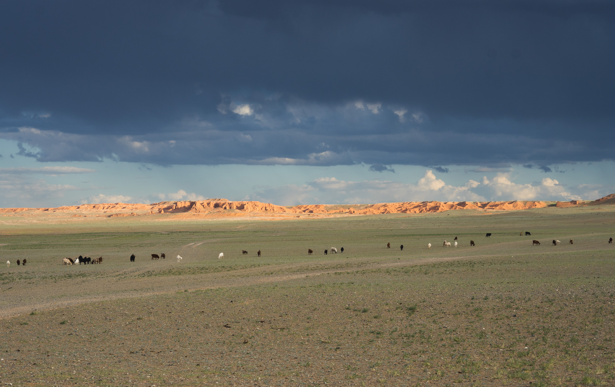 Storm brewing over the Flaming Cliffs