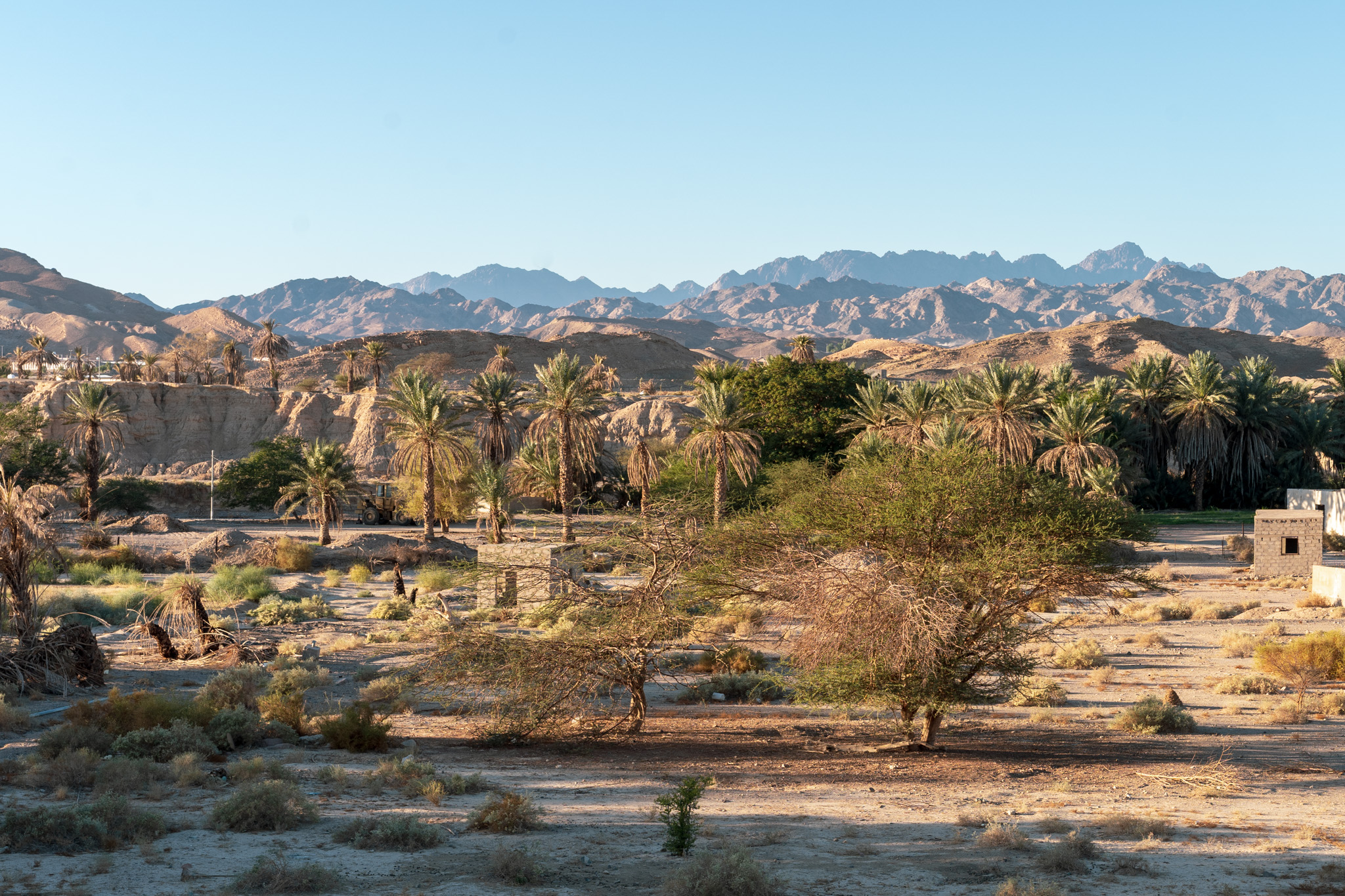 Town of Al Bad' in Tabuk Province