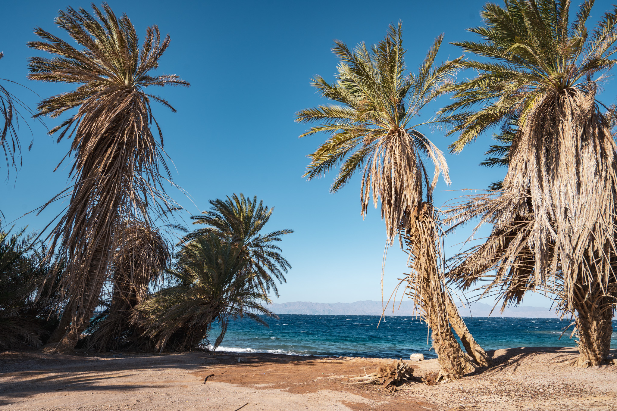 Secluded beach on the Gulf of Aqaba